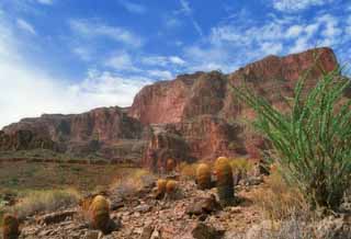 photo,material,free,landscape,picture,stock photo,Creative Commons,Great valley 2, cliff, blue sky, cactus, 