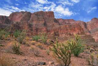 fotografia, materiale, libero il panorama, dipinga, fotografia di scorta,Canyon e cactus, rupe, cielo blu, , 