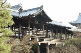 fotografia, material, livra, ajardine, imagine, proveja fotografia,Templo de Tofuku-ji que conduz  ponte de cu, Chaitya, ponte, atravesse corredor, 