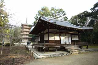 photo, la matire, libre, amnage, dcrivez, photo de la rserve,Temple Daigo-ji temple Kiyotaki temple de devant, Chaitya, Kiyotaki titre honorifique d'un dieu japonais, Corporation de la divinit locale, shoji