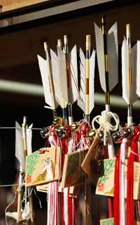 Foto, materieel, vrij, landschap, schilderstuk, bevoorraden foto,Hachiman-gu Shrine verdrijvende pijl van New Year, Nieuwjaar vakantiedagen, Geluksvoorwerp, Veel geluk, De pijl van de amulet tegen kwaad