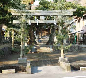 foto,tela,gratis,paisaje,fotografa,idea,Kamakura Yasaka torii de Oga, Santuario sintosta, Shinto, Guirnalda de paja sintosta, Pino de Ao Nuevo y adornos de bamb