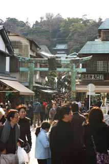 fotografia, material, livra, ajardine, imagine, proveja fotografia,Um torii do bronze de Enoshima, torii, Decorao de feriados de Ano novo, Uma aproximao para um santurio, A visita de Ano novo para um santurio de Xintosmo