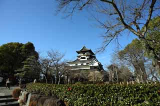 fotografia, material, livra, ajardine, imagine, proveja fotografia,O Inuyama-jo torre de castelo de Castelo, castelo Imperial branco, Etsu Kanayama, castelo, 