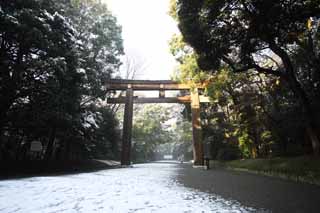 photo, la matire, libre, amnage, dcrivez, photo de la rserve,Torii de Temple Meiji, L'empereur, Temple shintoste, torii, Une approche  un temple