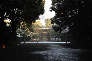 photo, la matire, libre, amnage, dcrivez, photo de la rserve,Torii de Temple Meiji, L'empereur, Temple shintoste, torii, Une approche  un temple