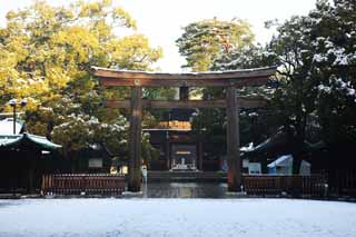 Foto, materiell, befreit, Landschaft, Bild, hat Foto auf Lager,Meiji Shrine torii, Der Kaiser, Schintoistischer Schrein, torii, Schnee