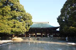photo, la matire, libre, amnage, dcrivez, photo de la rserve,Temple Meiji temple de devant, L'empereur, Temple shintoste, torii, Neige