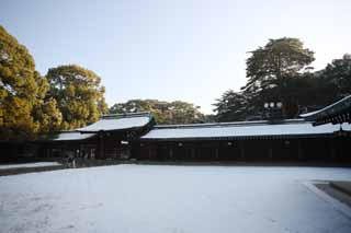 fotografia, materiale, libero il panorama, dipinga, fotografia di scorta,Sacrario di Meiji, L'imperatore, Sacrario scintoista, torii, Neve