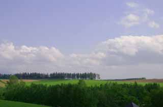 Foto, materieel, vrij, landschap, schilderstuk, bevoorraden foto,Hokkaido van de hersenschim, Gaarde, Wolk, Blauwe lucht, 