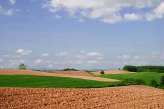 photo,material,free,landscape,picture,stock photo,Creative Commons,Farmland and cloud, soil, cloud, blue sky, field