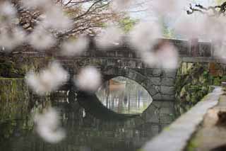 foto,tela,gratis,paisaje,fotografa,idea,Kurashiki Imahashi, Cultura tradicional, Puente de piedra, Cerezo, La historia