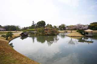 Foto, materieel, vrij, landschap, schilderstuk, bevoorraden foto,De waterplas van de Koraku-en Tuin stromen, Rustende kraam, Kasteel, Kers boom, Japanse tuin