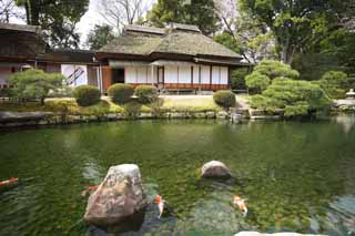 Foto, materiell, befreit, Landschaft, Bild, hat Foto auf Lager,Koraku-en-Garten Renchiken, shoji, Japanisch-Stilgebude, Stroh-gedecktes mit Stroh Dach, Karpfen
