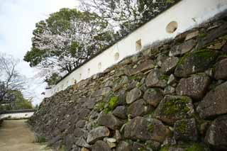 Foto, materiell, befreit, Landschaft, Bild, hat Foto auf Lager,Okayama-jo Burgburgmauer, Burg, Ishigaki, Krhen Sie Burg, 