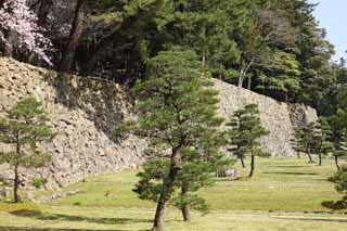 photo,material,free,landscape,picture,stock photo,Creative Commons,Matsue-jo Castle, pine, Piling-stones, castle, Ishigaki