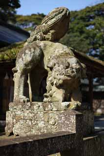 photo,material,free,landscape,picture,stock photo,Creative Commons,Matsue-jo Castle pair of stone guardian dogs, Shinto shrine, top dog, Shinto, stone statue