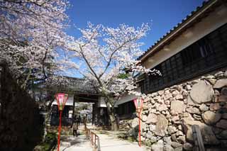 Foto, materieel, vrij, landschap, schilderstuk, bevoorraden foto,Een Matsue-jo Kasteel poort, Kers boom, Heiwerk-Stones, Kasteel, Ishigaki