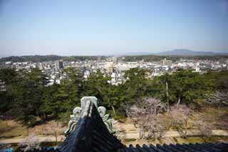 fotografia, materiale, libero il panorama, dipinga, fotografia di scorta,La citt di Matsue, tegola di tetto, costruendo, pino, cielo blu