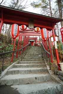 Foto, materiell, befreit, Landschaft, Bild, hat Foto auf Lager,Kusatsu heier Frhling Anamoriinari Shinto-Schrein, torii, Laterne, Kusatsu, kleiner Schrein