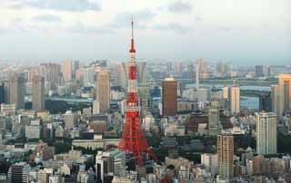 fotografia, materiale, libero il panorama, dipinga, fotografia di scorta,Tokio vista intera, Torre di Tokio, edificio a molti piani, Baia di Tokio, L'area del centro